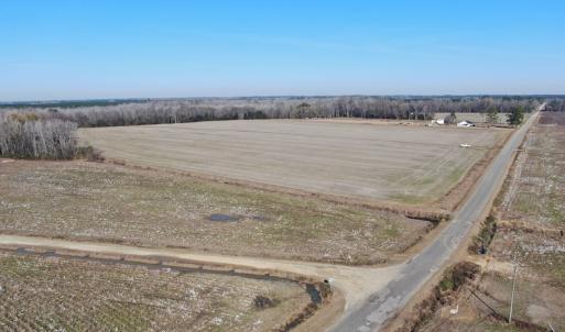 Photo #8 of Off Gum Swamp Road, Sellers , SC 125.0 acres