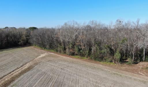 Photo #9 of Off Gum Swamp Road, Sellers , SC 125.0 acres