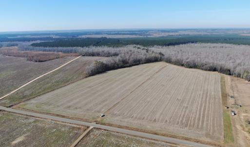 Photo #10 of Off Gum Swamp Road, Sellers , SC 125.0 acres