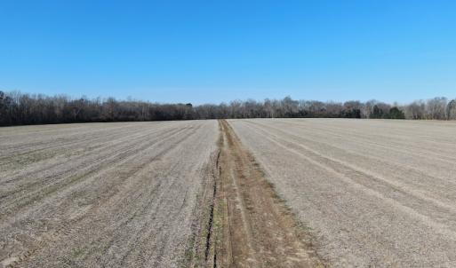Photo #11 of Off Gum Swamp Road, Sellers , SC 125.0 acres