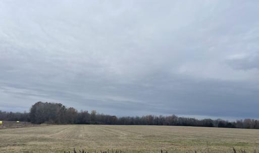 Photo #16 of Off Gum Swamp Road, Sellers , SC 125.0 acres