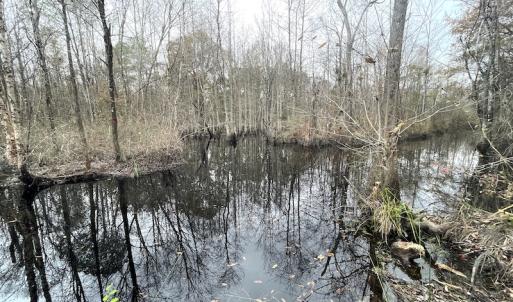 Photo #20 of Off Gum Swamp Road, Sellers , SC 125.0 acres
