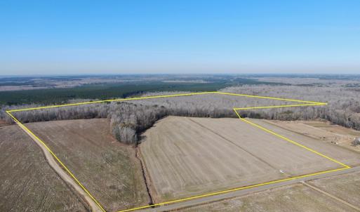 Photo #2 of Off Gum Swamp Road, Sellers , SC 125.0 acres
