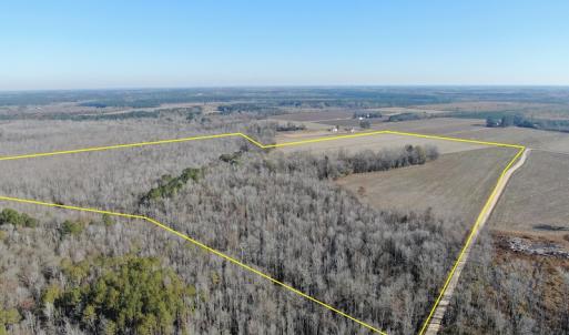 Photo #3 of Off Gum Swamp Road, Sellers , SC 125.0 acres