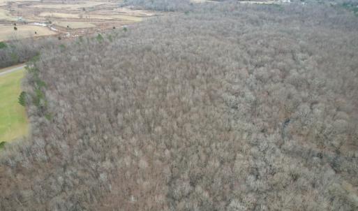Photo #12 of SOLD property in Off Fortsville Rd, Drewryville, VA 74.0 acres