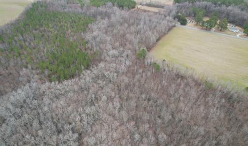 Photo #13 of SOLD property in Off Fortsville Rd, Drewryville, VA 74.0 acres