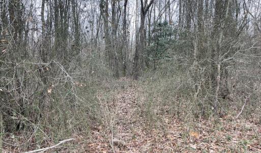 Photo #17 of Off Fortsville Rd, Drewryville, VA 74.0 acres