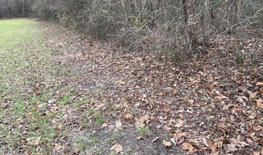 Photo #18 of Off Fortsville Rd, Drewryville, VA 74.0 acres