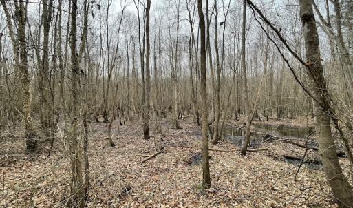 Photo #20 of Off Fortsville Rd, Drewryville, VA 74.0 acres