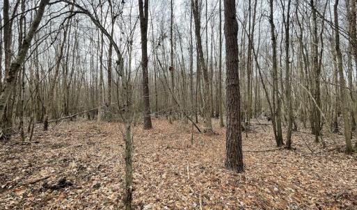 Photo #22 of Off Fortsville Rd, Drewryville, VA 74.0 acres