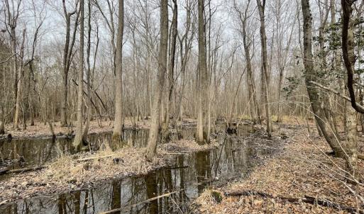 Photo #23 of SOLD property in Off Fortsville Rd, Drewryville, VA 74.0 acres