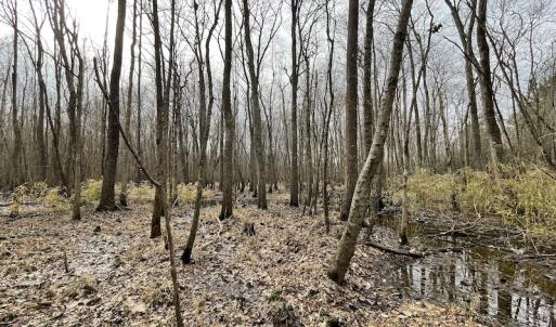 Photo #24 of SOLD property in Off Fortsville Rd, Drewryville, VA 74.0 acres