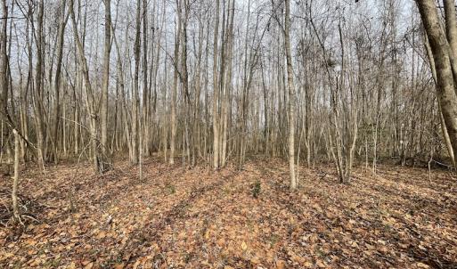 Photo #27 of Off Fortsville Rd, Drewryville, VA 74.0 acres