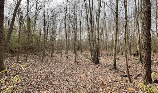 Photo #28 of Off Fortsville Rd, Drewryville, VA 74.0 acres