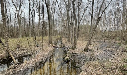 Photo #29 of SOLD property in Off Fortsville Rd, Drewryville, VA 74.0 acres