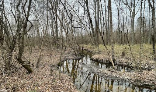 Photo #30 of SOLD property in Off Fortsville Rd, Drewryville, VA 74.0 acres