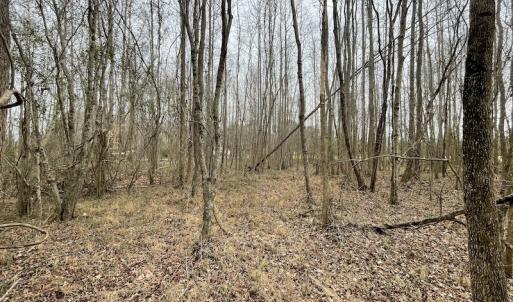 Photo #31 of SOLD property in Off Fortsville Rd, Drewryville, VA 74.0 acres