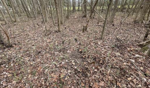 Photo #33 of Off Fortsville Rd, Drewryville, VA 74.0 acres