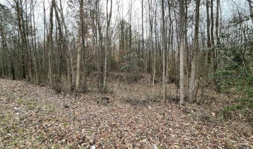Photo #36 of Off Fortsville Rd, Drewryville, VA 74.0 acres