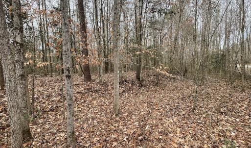 Photo #37 of SOLD property in Off Fortsville Rd, Drewryville, VA 74.0 acres