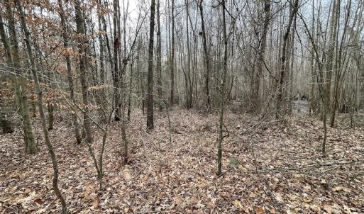 Photo #38 of Off Fortsville Rd, Drewryville, VA 74.0 acres