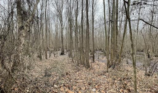 Photo #40 of SOLD property in Off Fortsville Rd, Drewryville, VA 74.0 acres