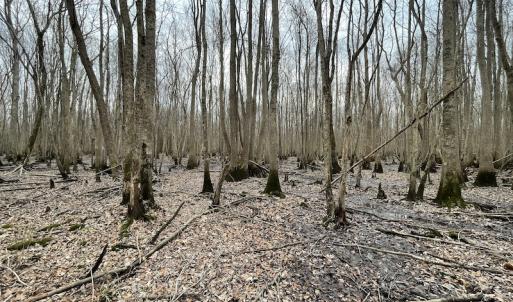 Photo #41 of SOLD property in Off Fortsville Rd, Drewryville, VA 74.0 acres