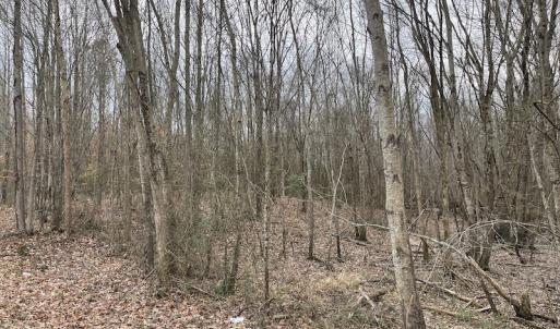 Photo #42 of Off Fortsville Rd, Drewryville, VA 74.0 acres