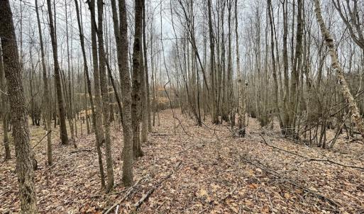 Photo #44 of Off Fortsville Rd, Drewryville, VA 74.0 acres