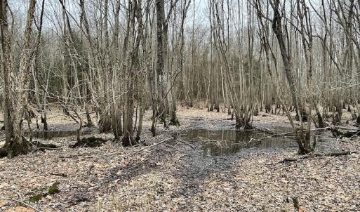 Photo #45 of SOLD property in Off Fortsville Rd, Drewryville, VA 74.0 acres