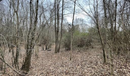 Photo #46 of Off Fortsville Rd, Drewryville, VA 74.0 acres