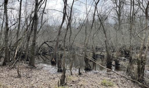 Photo #47 of SOLD property in Off Fortsville Rd, Drewryville, VA 74.0 acres