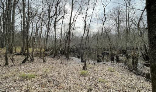 Photo #48 of SOLD property in Off Fortsville Rd, Drewryville, VA 74.0 acres