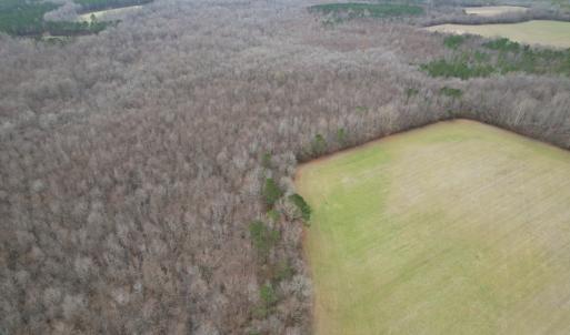 Photo #6 of SOLD property in Off Fortsville Rd, Drewryville, VA 74.0 acres