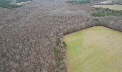 Photo #6 of Off Fortsville Rd, Drewryville, VA 74.0 acres