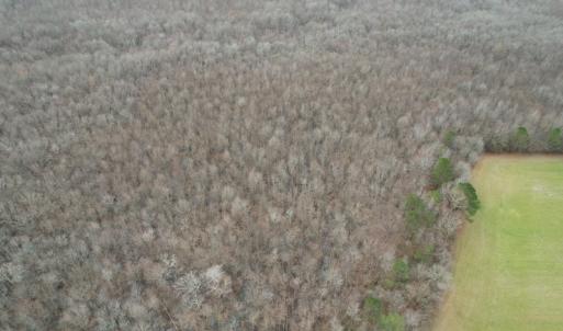 Photo #7 of SOLD property in Off Fortsville Rd, Drewryville, VA 74.0 acres