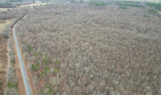 Photo #9 of SOLD property in Off Fortsville Rd, Drewryville, VA 74.0 acres