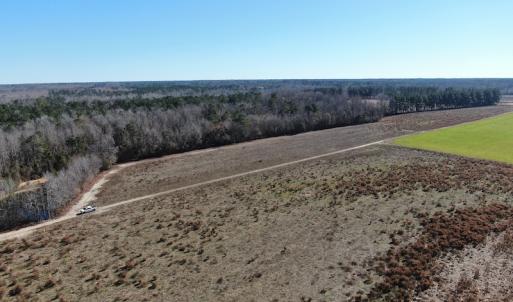 Photo #3 of Off Hwy 308, Galivant's Ferry, SC 102.0 acres