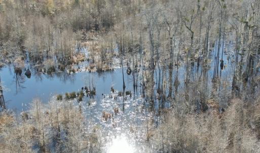 Photo #4 of Off Hwy 308, Galivant's Ferry, SC 102.0 acres