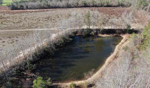 Photo #5 of Off Hwy 308, Galivant's Ferry, SC 102.0 acres