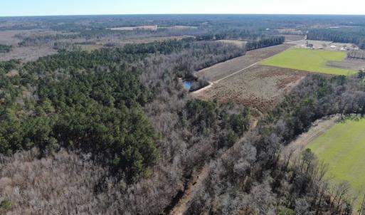 Photo #6 of Off Hwy 308, Galivant's Ferry, SC 102.0 acres