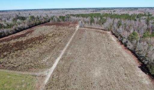 Photo #7 of Off Hwy 308, Galivant's Ferry, SC 102.0 acres