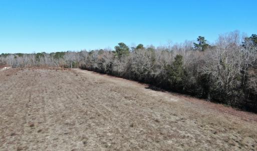 Photo #8 of Off Hwy 308, Galivant's Ferry, SC 102.0 acres