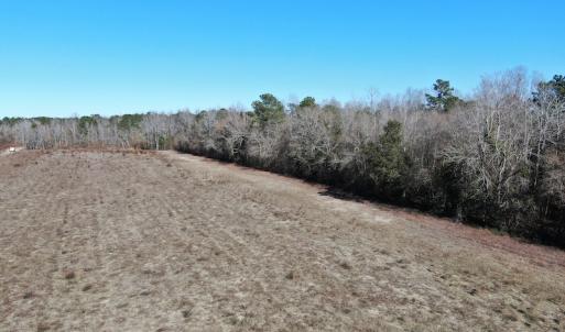 Photo #8 of Off Hwy 308, Galivant's Ferry, SC 102.0 acres