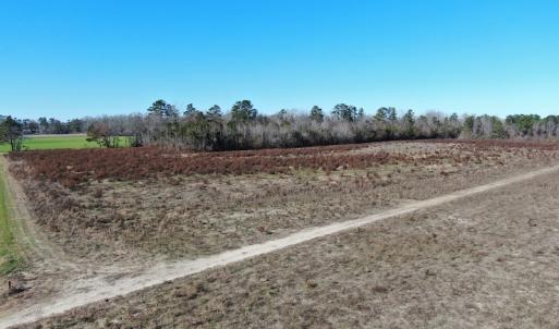 Photo #9 of Off Hwy 308, Galivant's Ferry, SC 102.0 acres