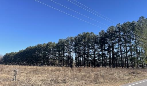 Photo #10 of Off Hwy 308, Galivant's Ferry, SC 102.0 acres