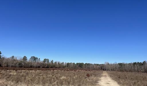 Photo #16 of Off Hwy 308, Galivant's Ferry, SC 102.0 acres