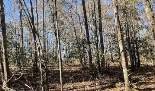 Photo #17 of Off Hwy 308, Galivant's Ferry, SC 102.0 acres