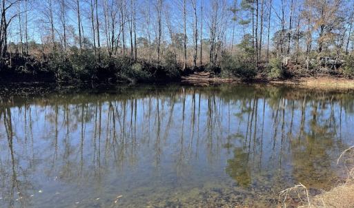 Photo #18 of Off Hwy 308, Galivant's Ferry, SC 102.0 acres