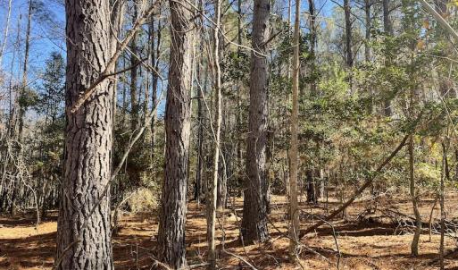 Photo #22 of Off Hwy 308, Galivant's Ferry, SC 102.0 acres
